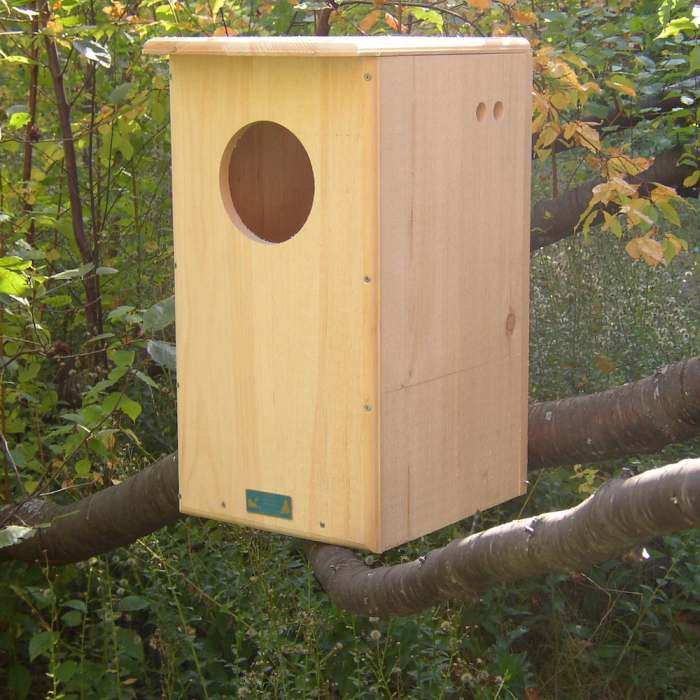 Conservation Barred Owl House Kit
